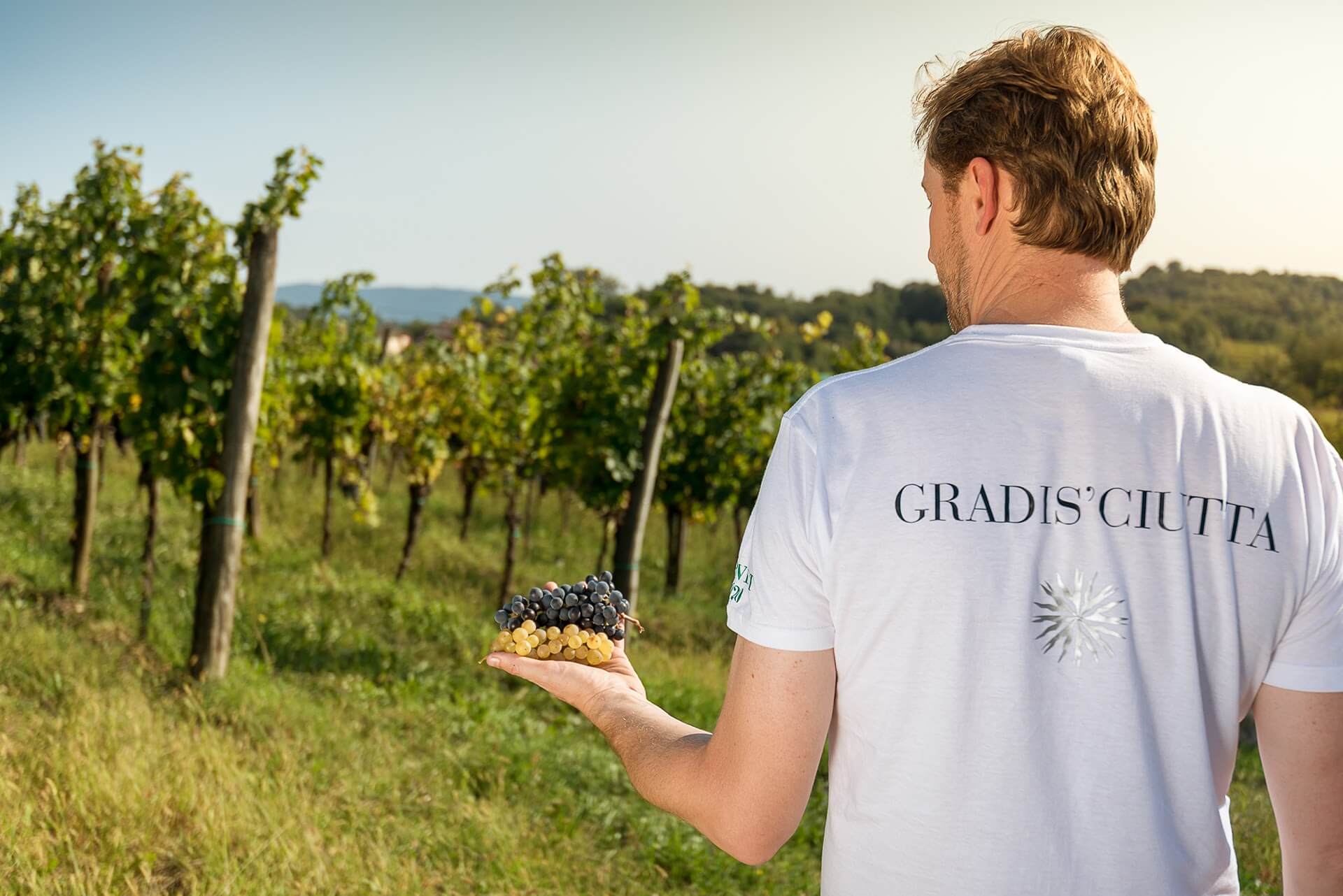 GRADIS’CIUTTA  Crù del Collio storico rivive con Robert Princic