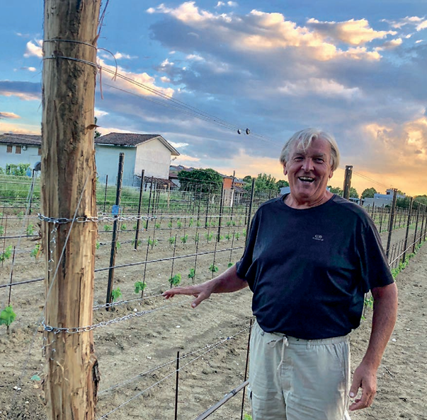 Pauli il cesellatore delle vigne pubblica l'immagine